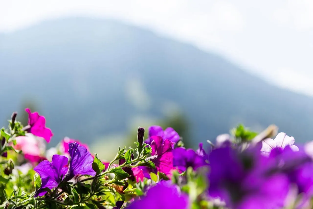 פפרונטן Hotel Garni Bergidyll - Adults Only